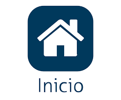INDICE 08